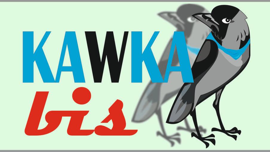 Kawka Bis Poznań – rusza drugi nabór w kwietniu