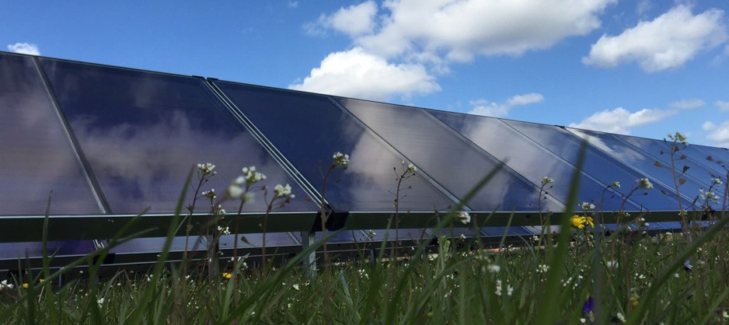 Europejski przemysł  energii słonecznej aktywny w Green Recovery